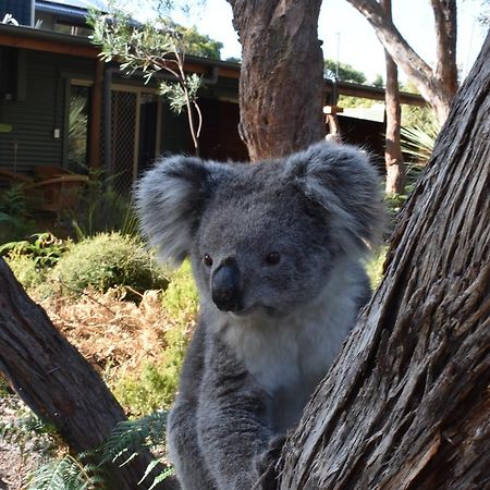 Kangaroo Island Wilderness Retreat 플린더스체이스 외부 사진