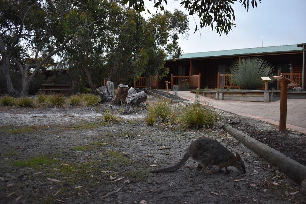 Kangaroo Island Wilderness Retreat 플린더스체이스 외부 사진