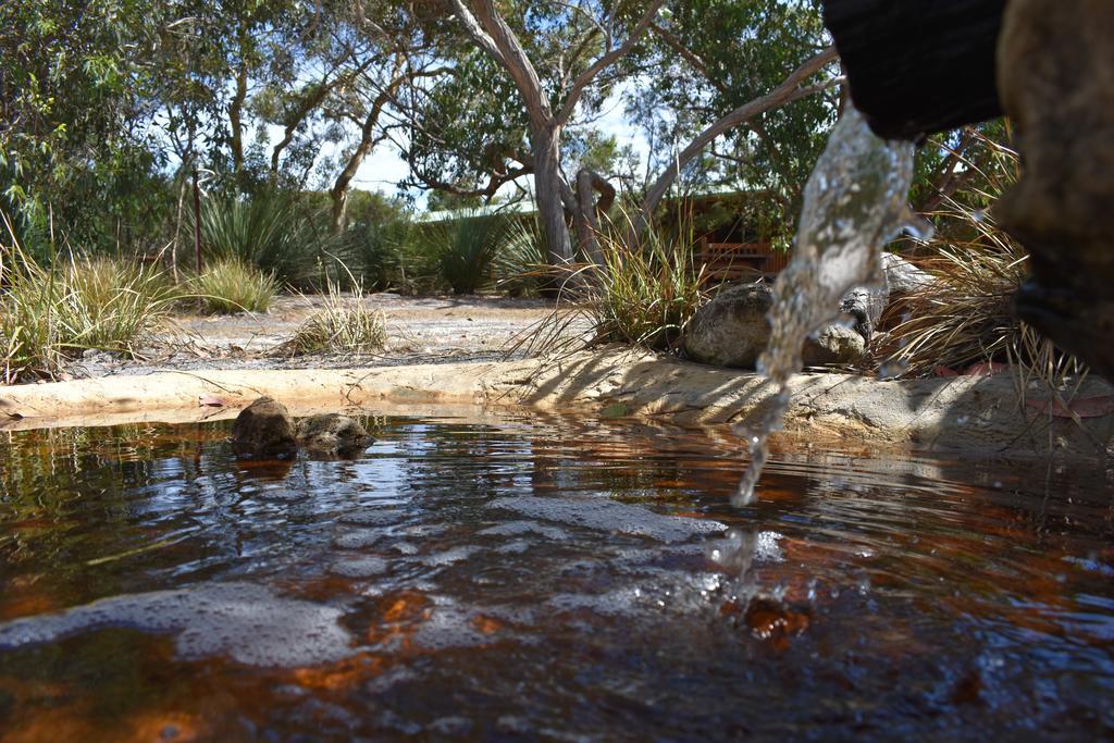 Kangaroo Island Wilderness Retreat 플린더스체이스 외부 사진