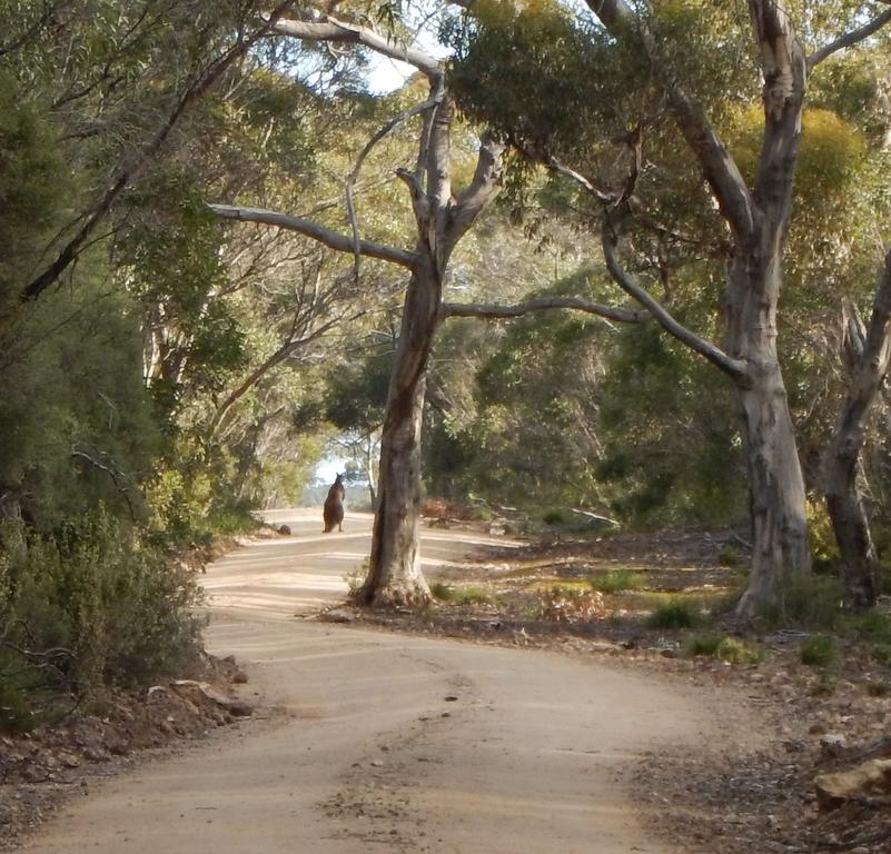 Kangaroo Island Wilderness Retreat 플린더스체이스 외부 사진