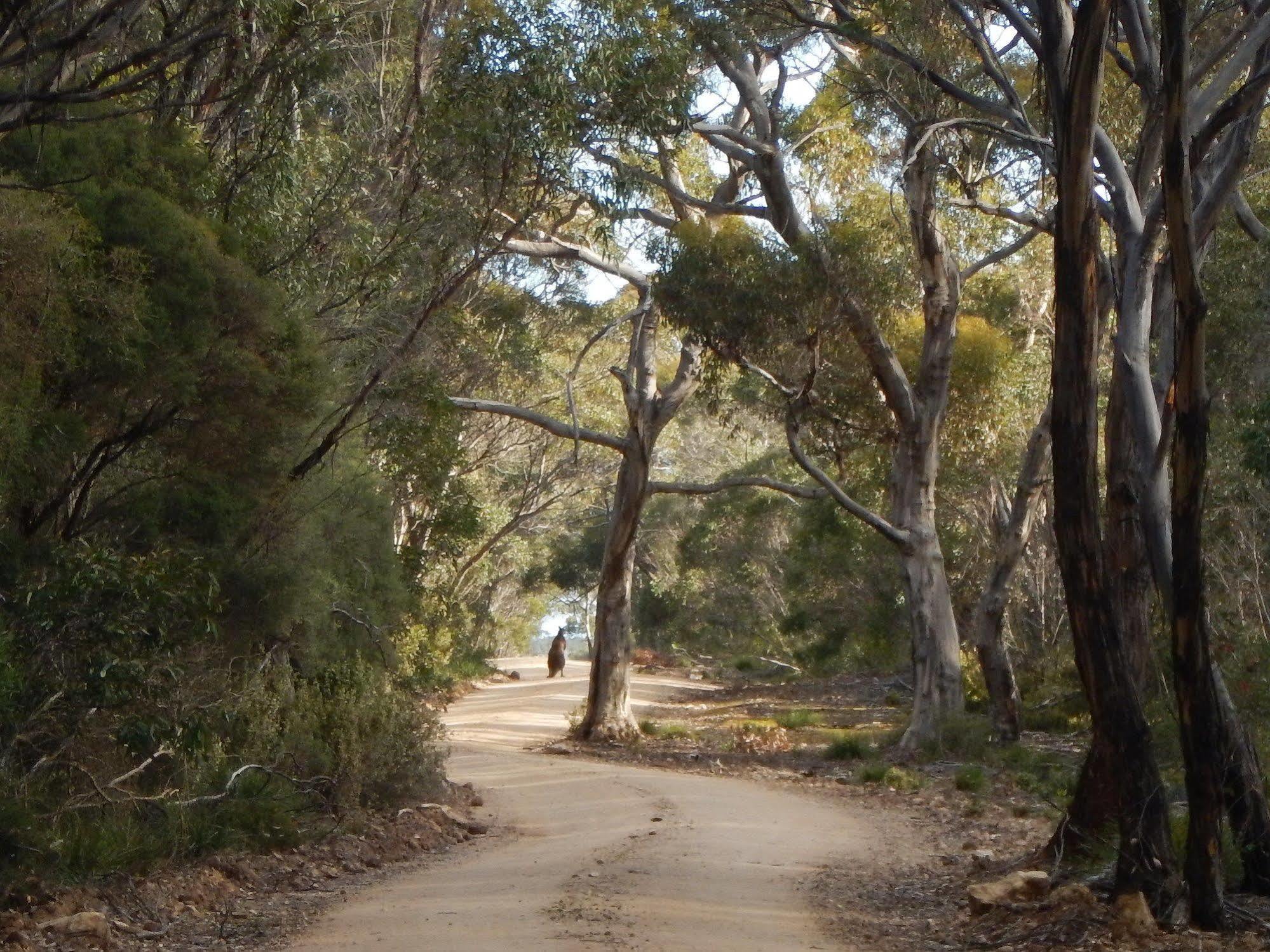 Kangaroo Island Wilderness Retreat 플린더스체이스 외부 사진