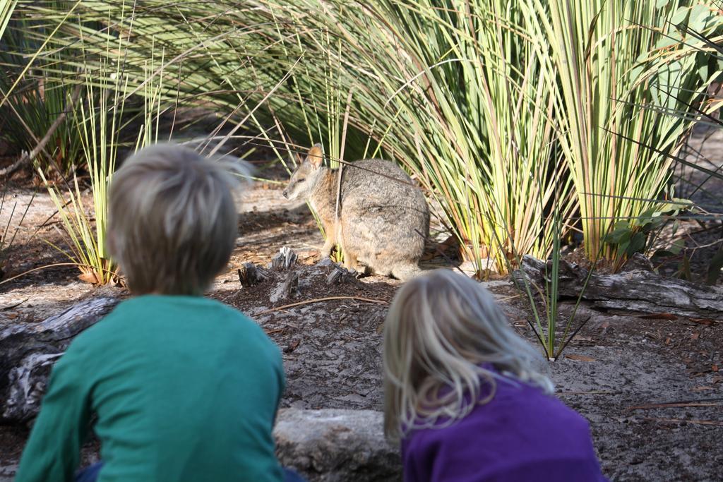 Kangaroo Island Wilderness Retreat 플린더스체이스 외부 사진